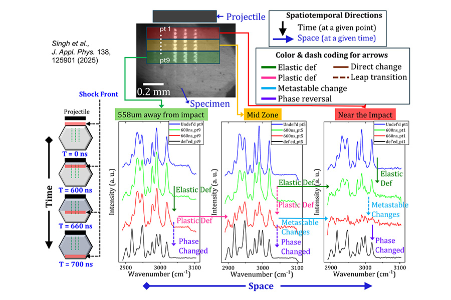 A diagram from a scientific paper