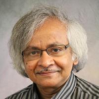 Professor Supriyo Datta