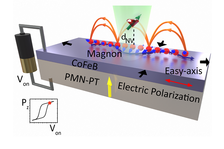 Schematic illustration