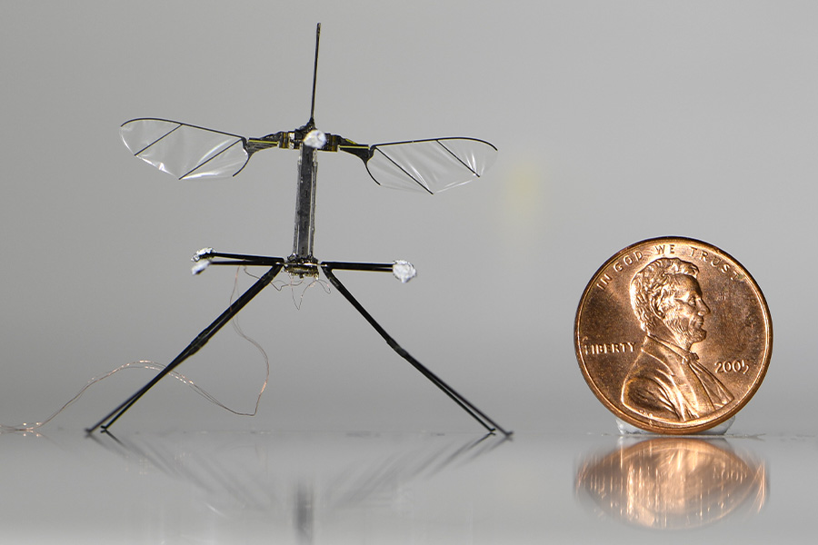 A penny placed beside a detailed model of the Robobee microrobot, showcasing the size comparison between the two objects