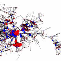 network image
