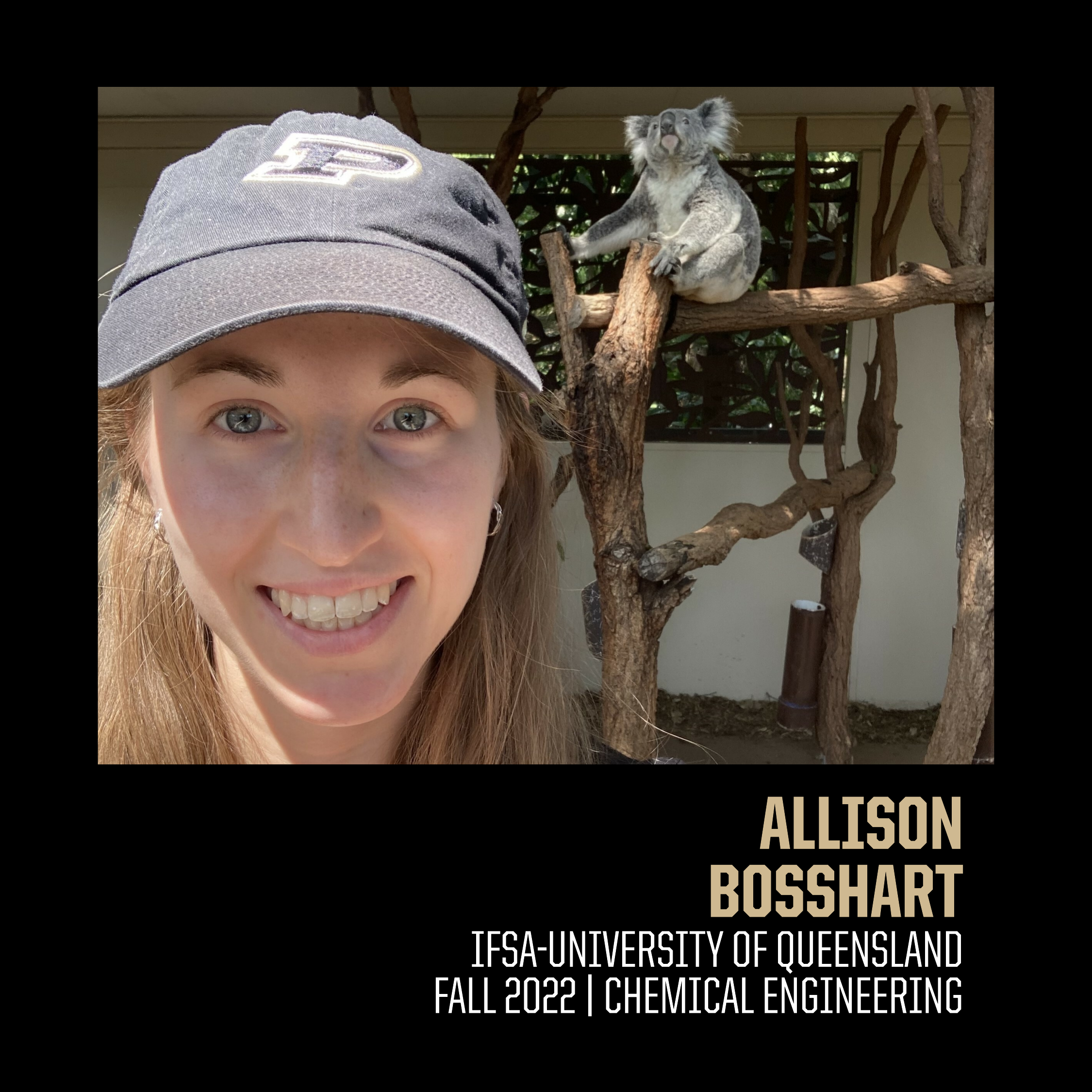Allison Bosshart